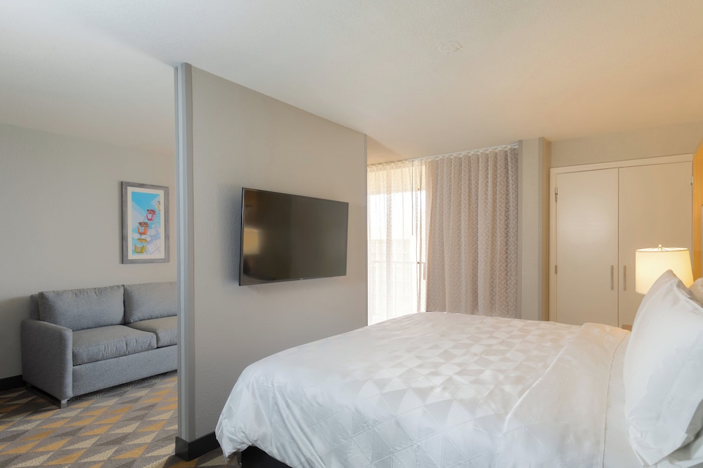 Suite, 1 King Bed with Sofa bed