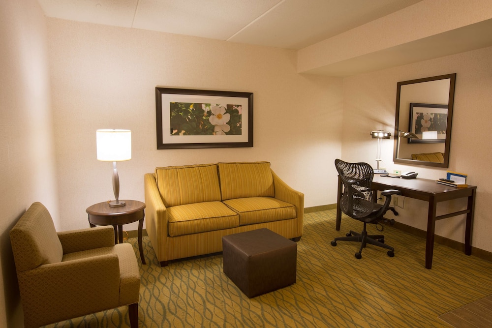 Junior Suite, 1 King Bed, Accessible