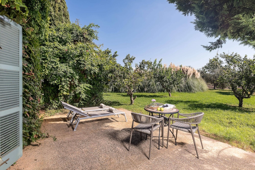 Superior Room, Terrace