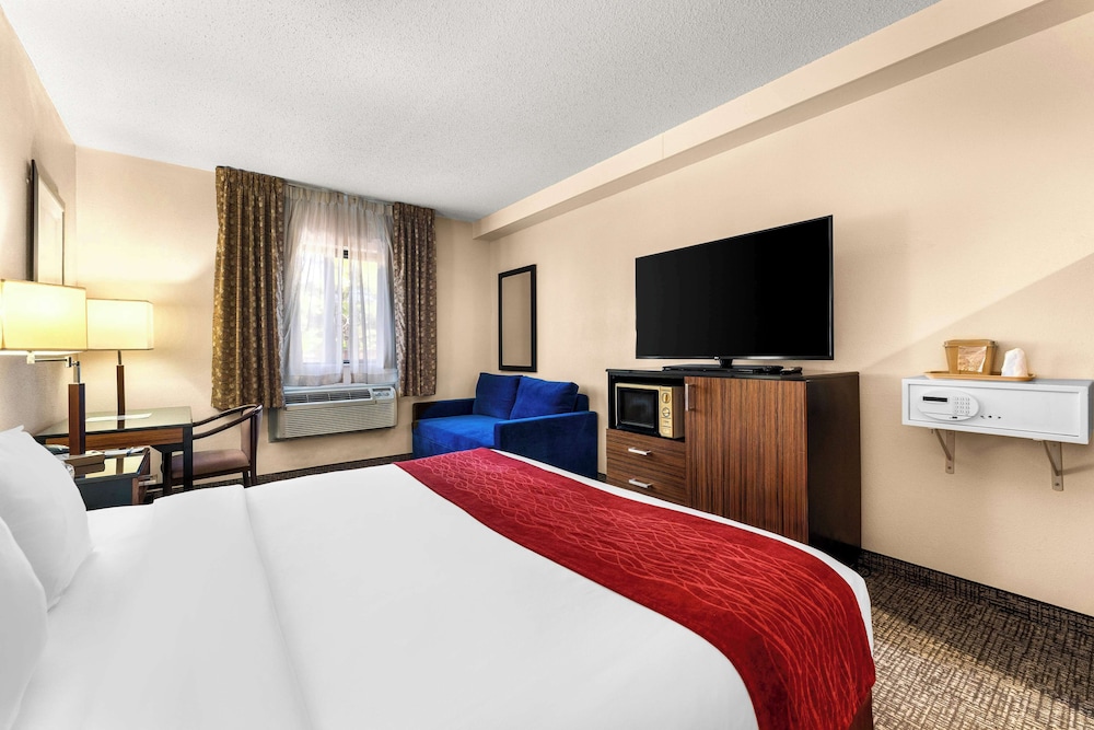 Standard Room, 1 King Bed, Accessible, Refrigerator & Microwave (with Sofabed) - Photo 2