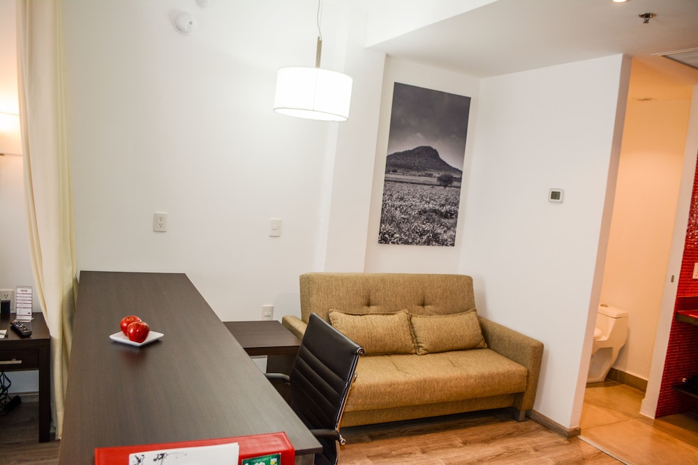 Basic Studio, 1 Bedroom photo 2