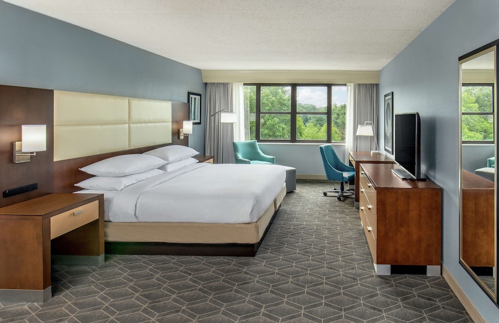 Studio Suite, 1 King Bed - Photo 1