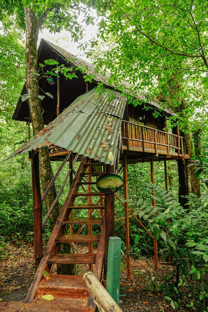 The Frog Tree House photo 2