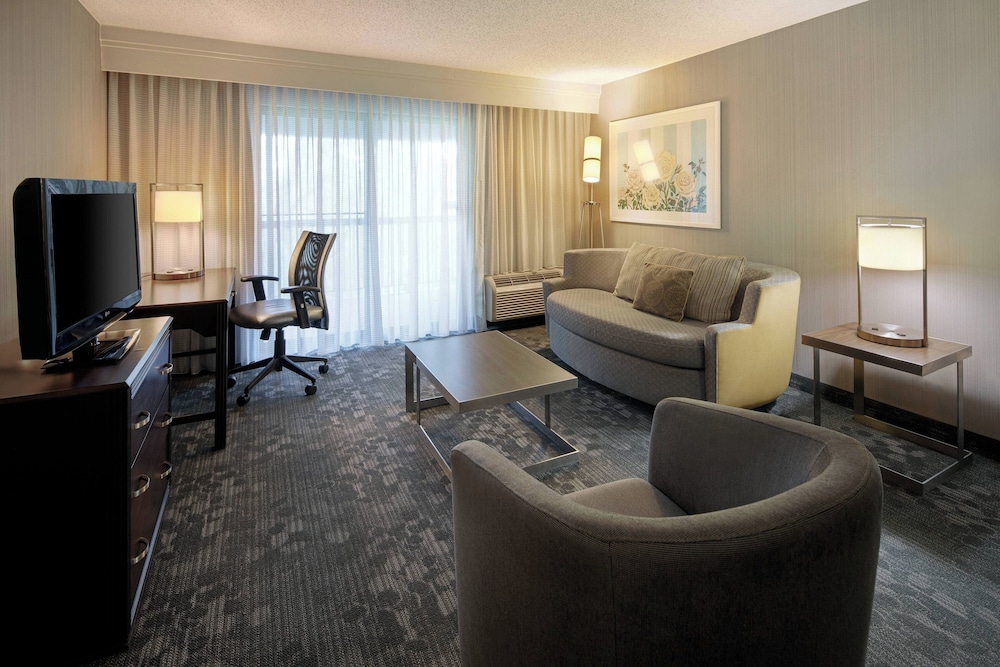 Suite, 1 King Bed with Sofa bed photo 1