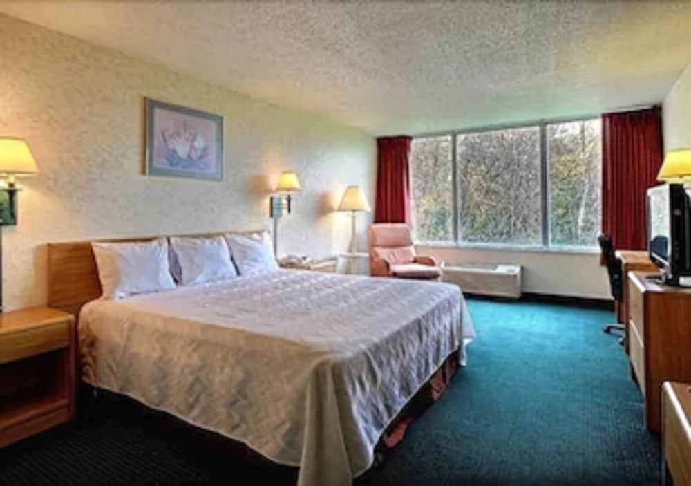 Standard Room, 1 King Bed, Non Smoking photo 1