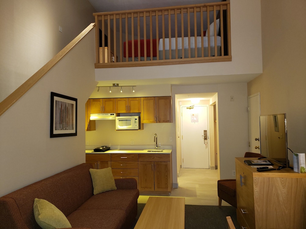 Deluxe Studio, Multiple Beds