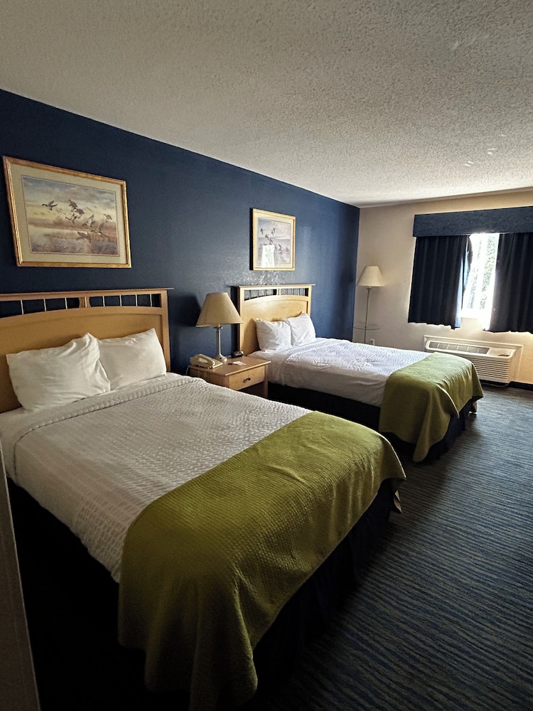 Standard Double Room, 2 Double Beds photo 1