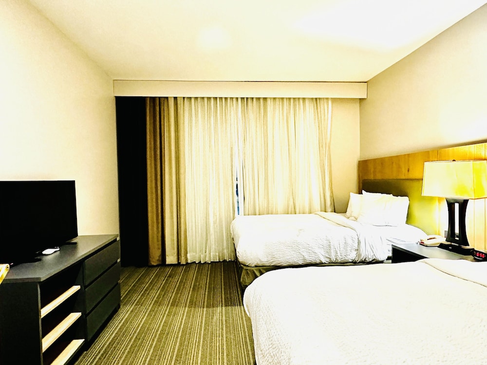 Economy Room photo 3