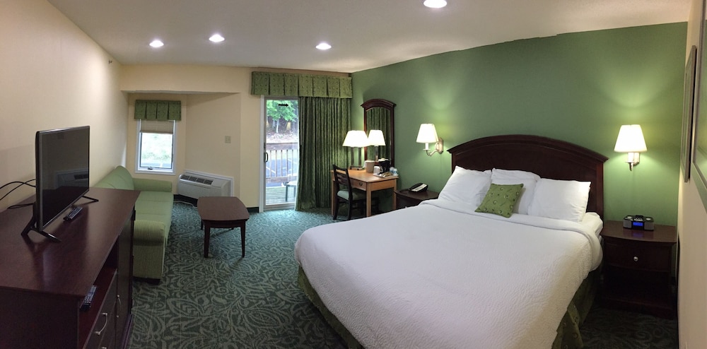 Room, 1 King Bed with Sofa bed