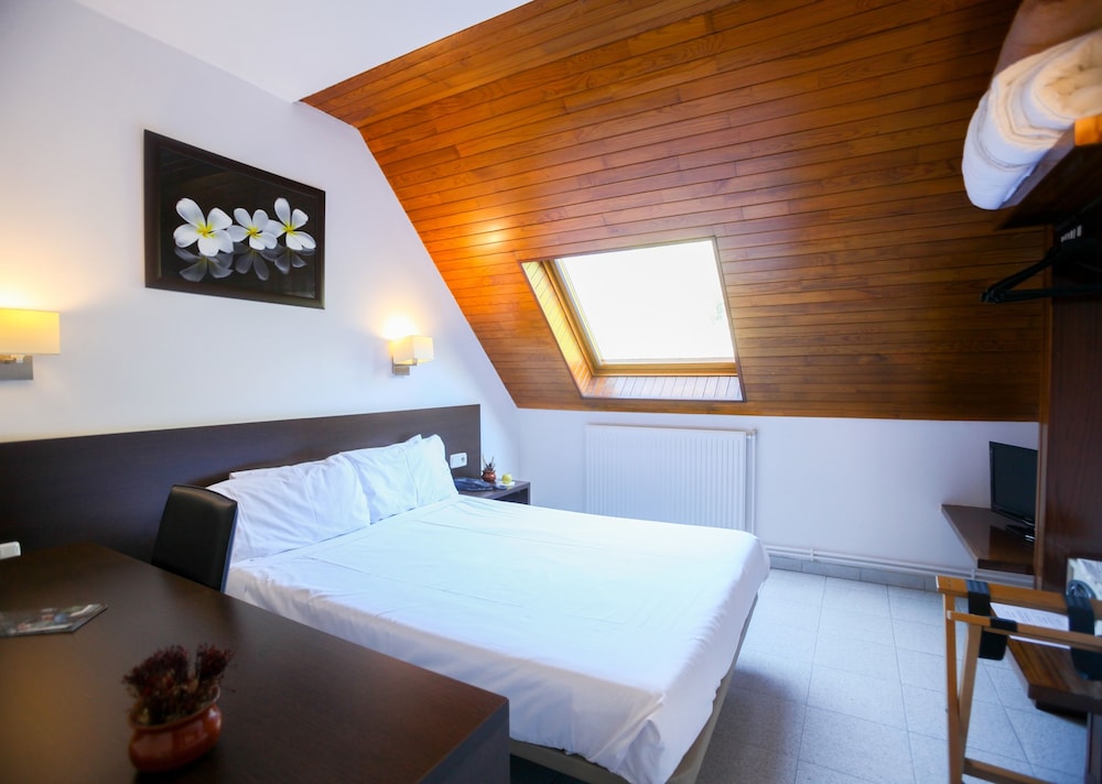Attic double room photo 1