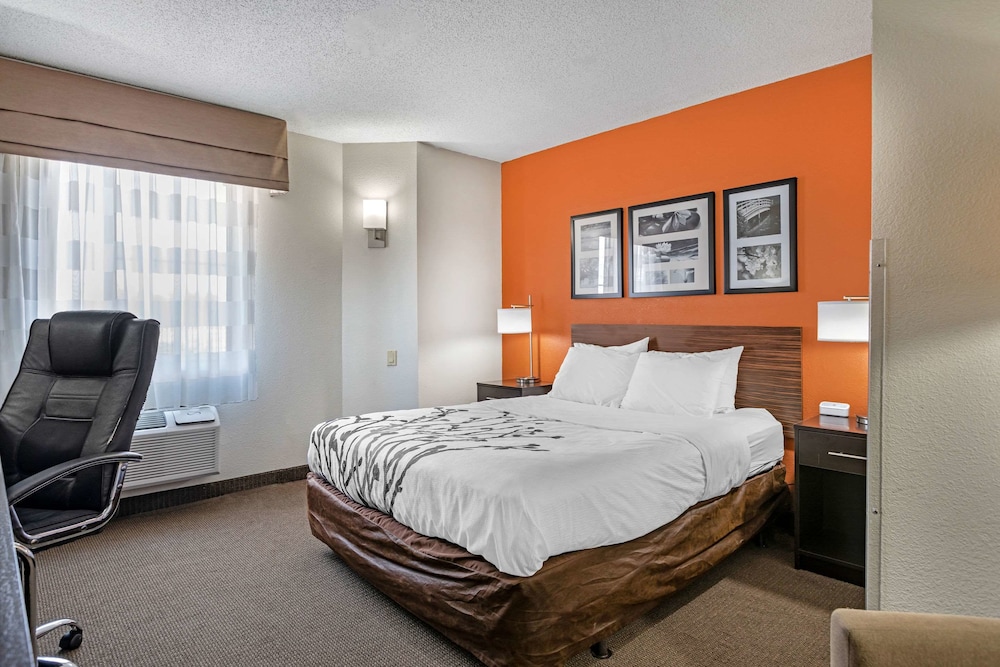 Standard Room, 1 Queen Bed, Non Smoking, Refrigerator & Microwave - Photo 5