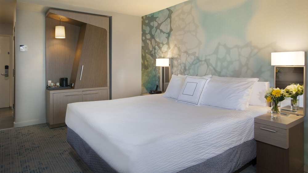 Standard Room, 1 King Bed (Mobility/Hearing Access, Roll-in Shwr)
