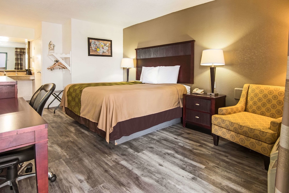 Suite, 1 King Bed with Sofa bed, Non Smoking - Photo 1