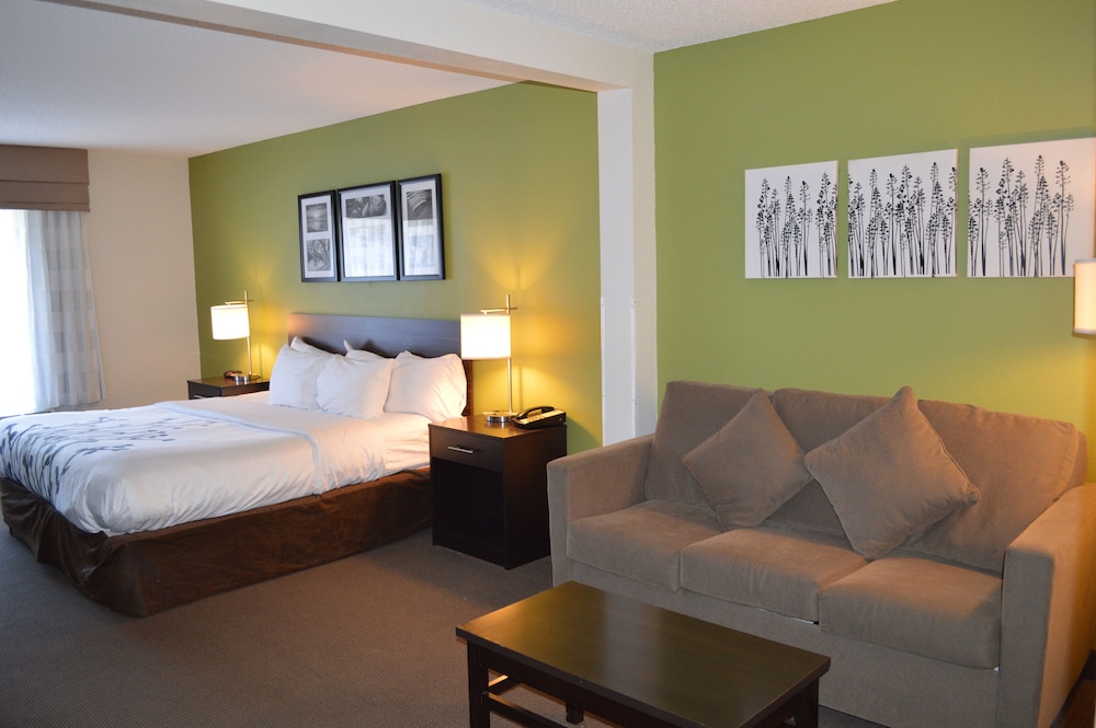 Business Room, 1 King Bed with Sofa bed, Accessible, Non Smoking photo 1