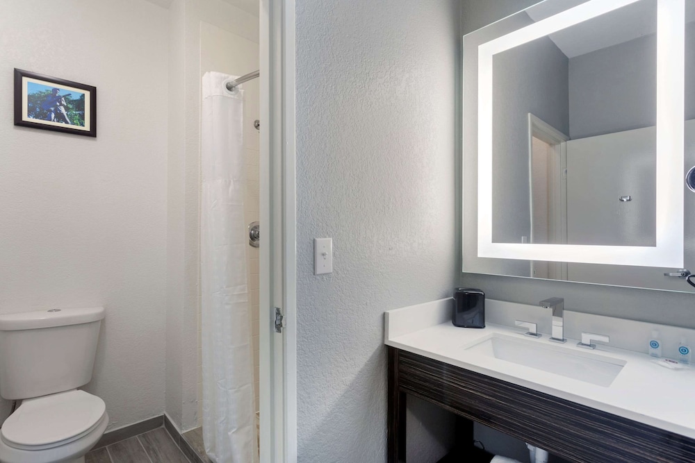 Suite, 1 King Bed, Non Smoking - Photo 6