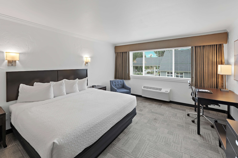 Standard Room, 1 King Bed, Accessible, Refrigerator & Microwave - Photo 1