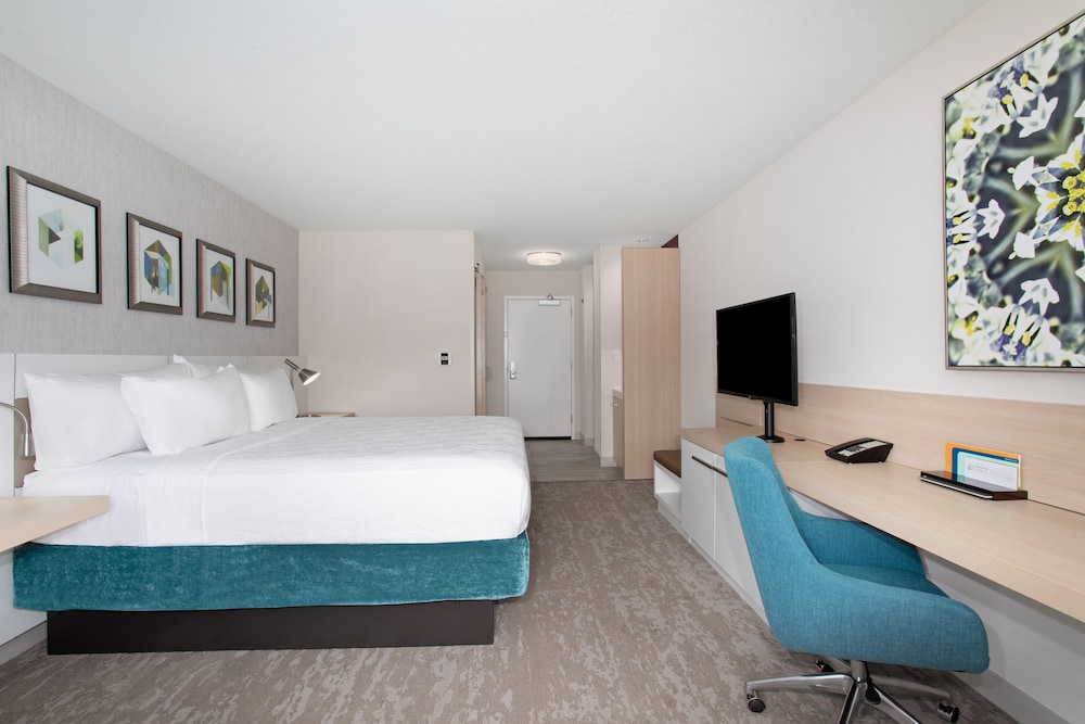Room, 1 King Bed, Accessible (Roll-In Shower) - Photo 4