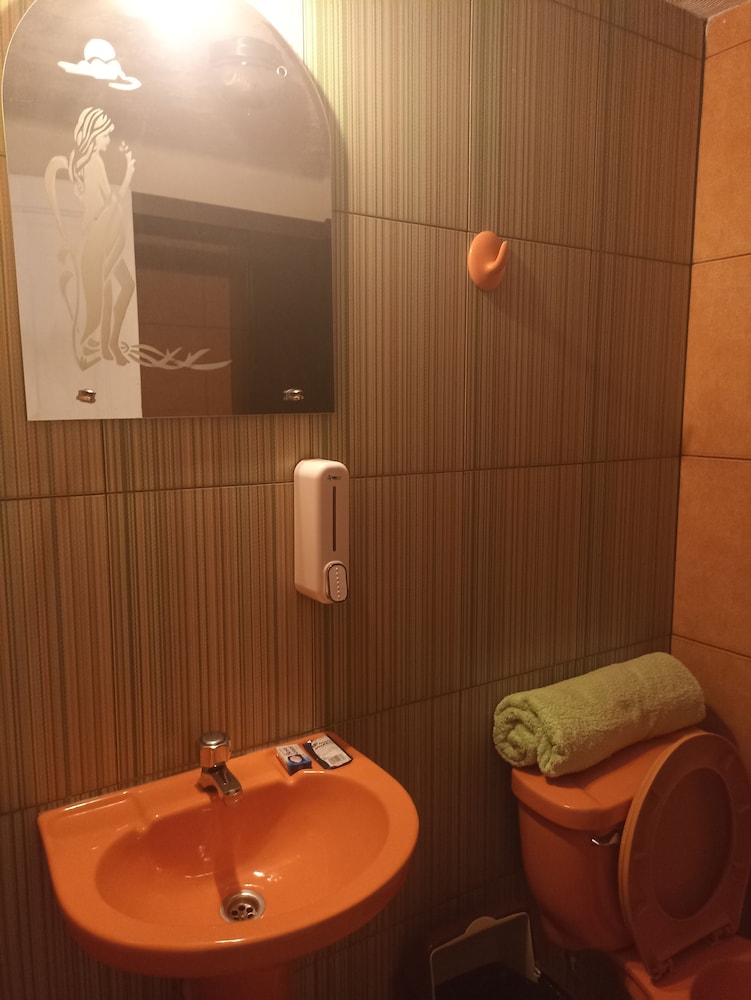 Deluxe Double or Twin Room photo 2