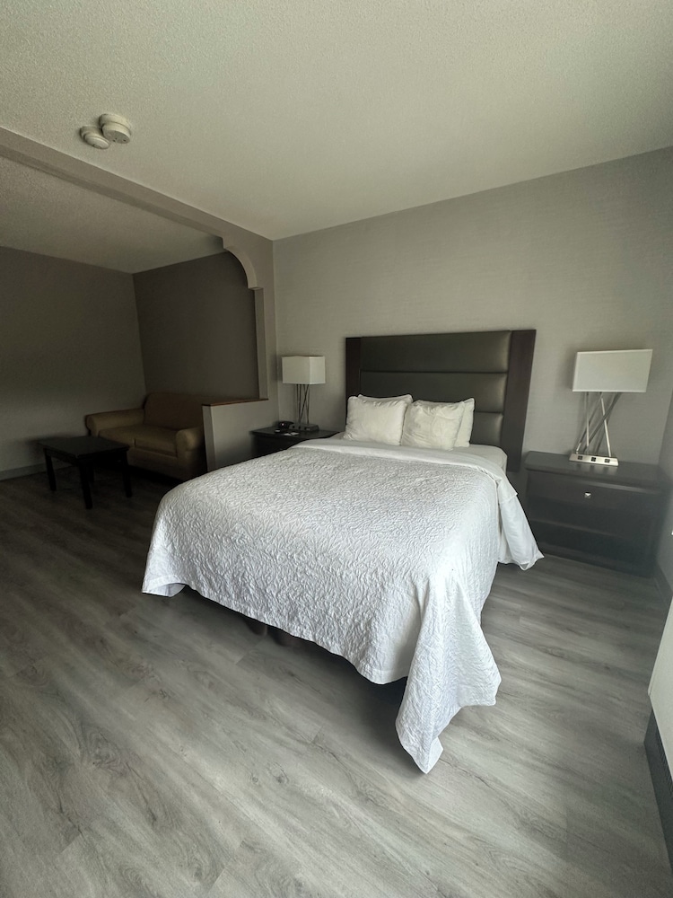 King Size Suite, 1 King Bed with Sofa bed photo 2