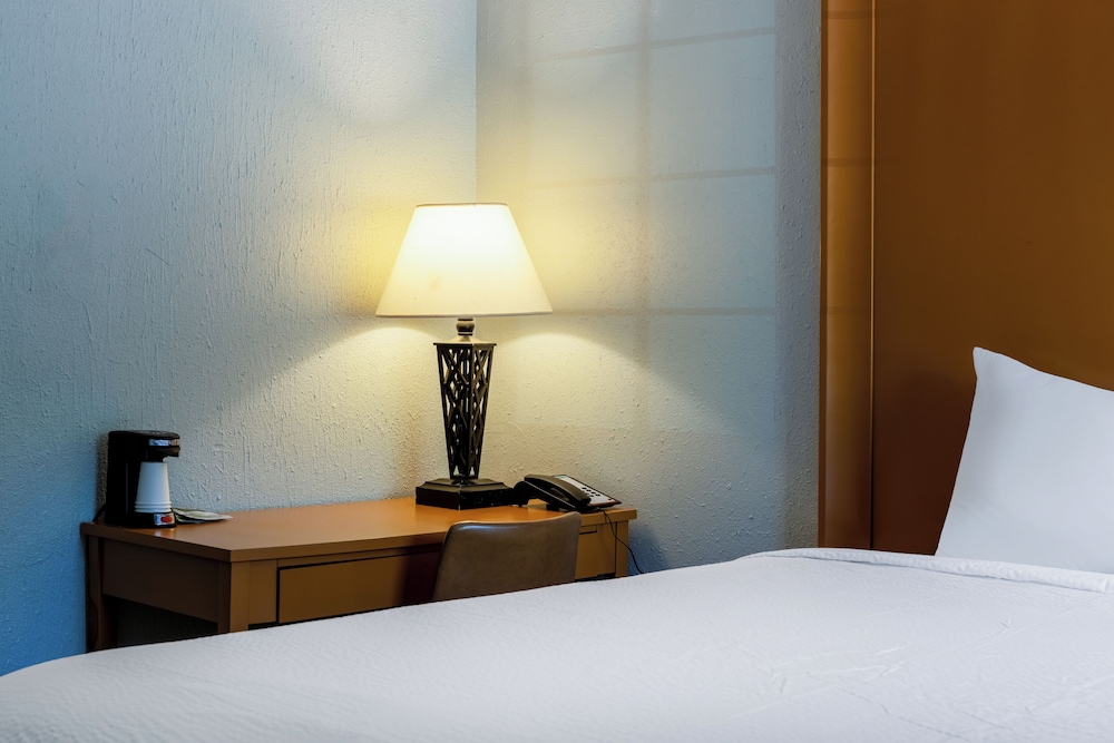 Room, 1 King Bed, Accessible - Photo 3