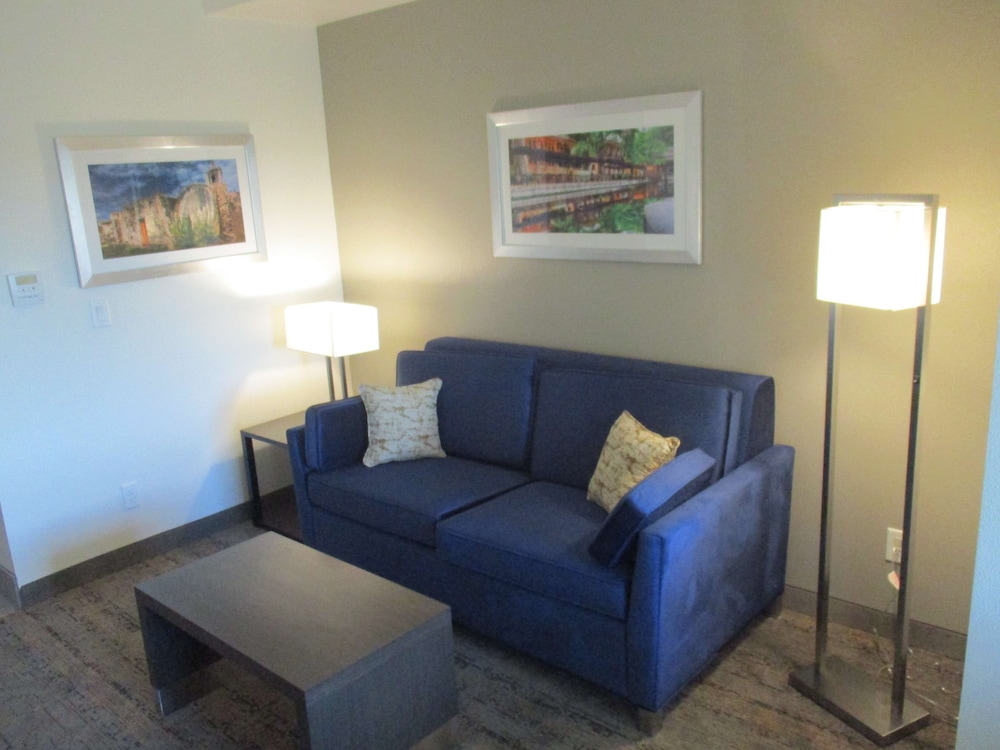Suite, 1 King Bed, Accessible, Non Smoking (with Sofabed) photo 1
