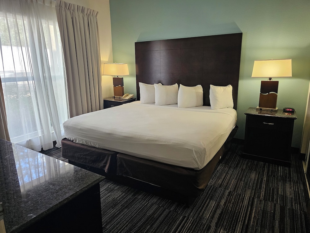King Suite