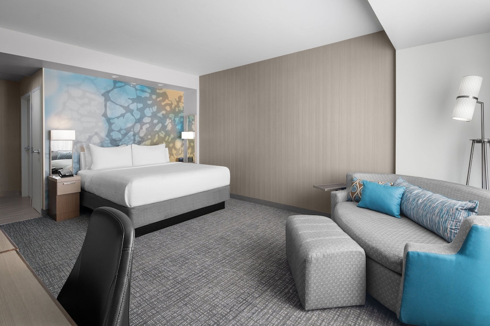 Room, 1 King Bed with Sofa bed (Mobility/Hearing Access, Roll-In Shwr)