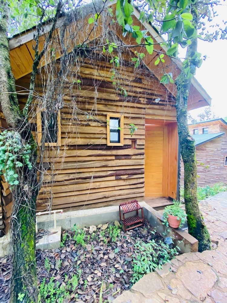 Family Cabin