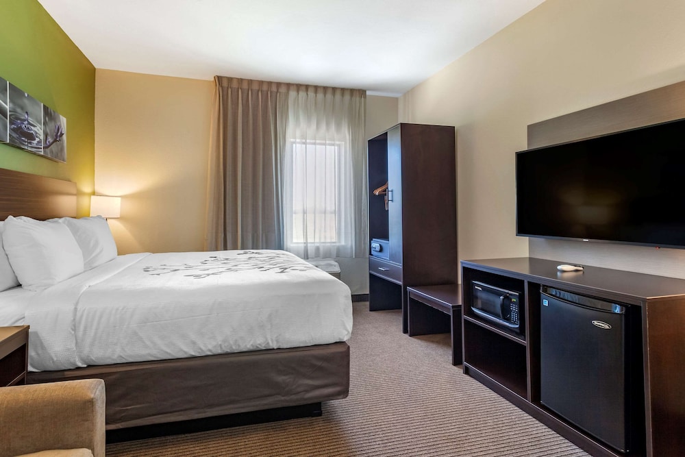 Suite, 1 King Bed with Sofa bed, Non Smoking - Photo 3