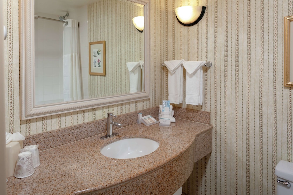 Room, 1 King Bed, Accessible - Photo 5