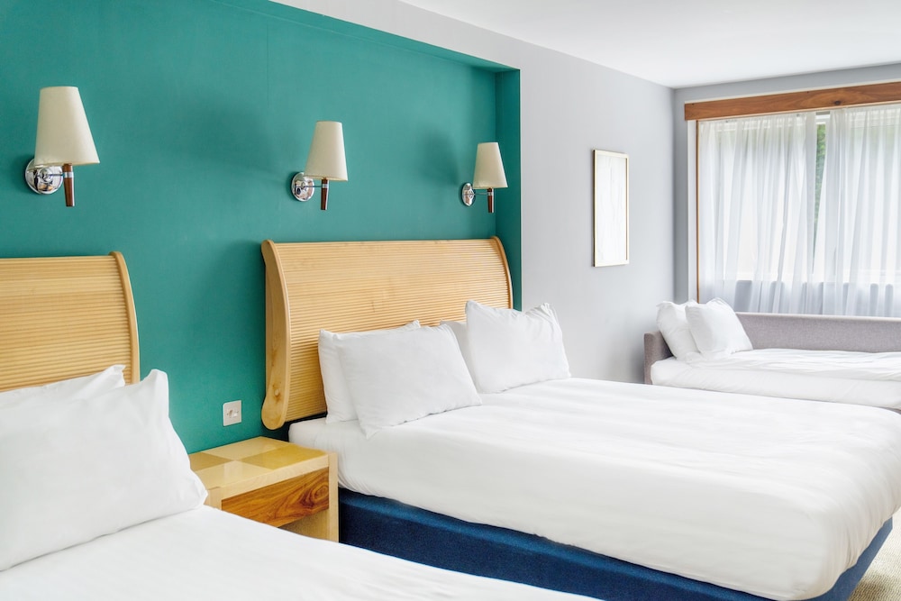 Premium Room, Multiple Beds - Photo 2