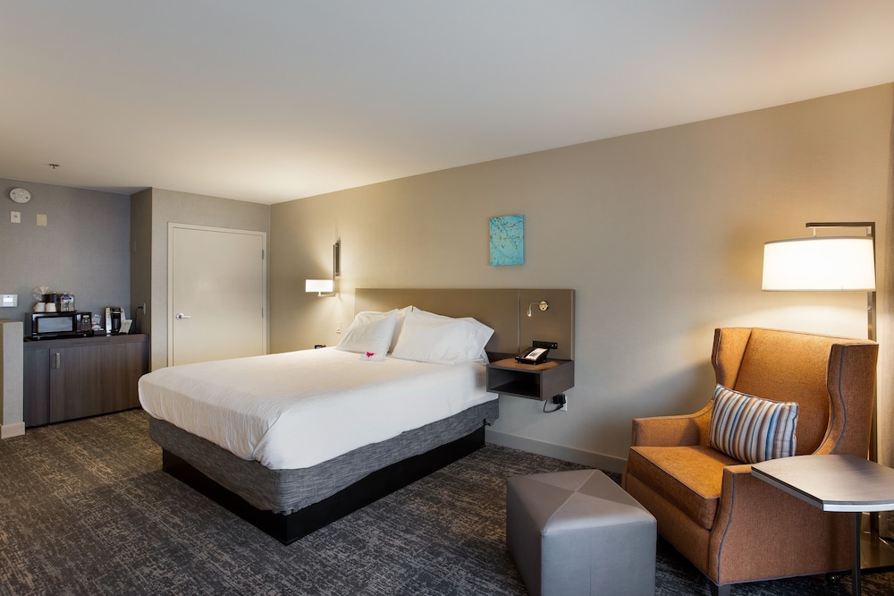 Junior Room, 1 King Bed, Accessible (Roll-in Shower) - Photo 1