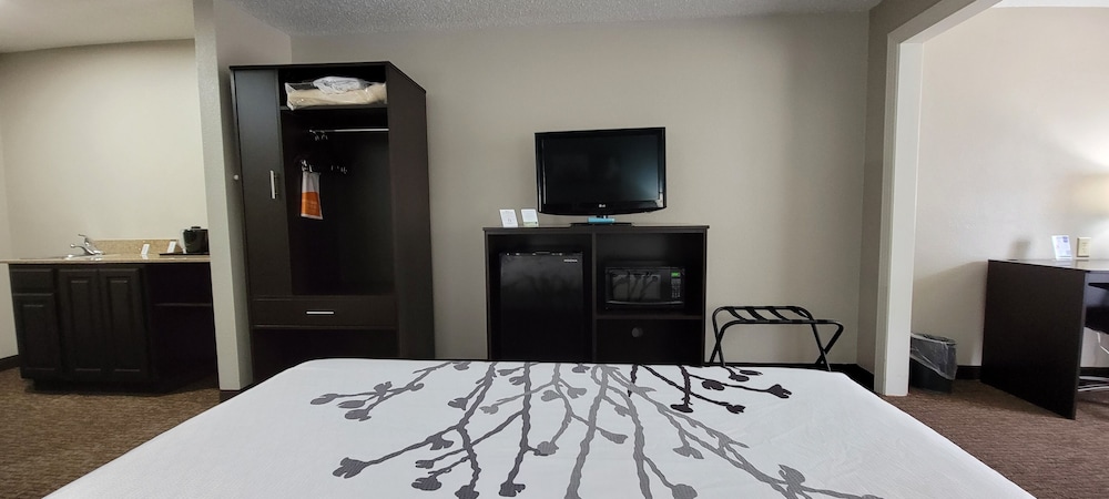 Suite, 1 King Bed with Sofa bed, Non Smoking - Photo 5