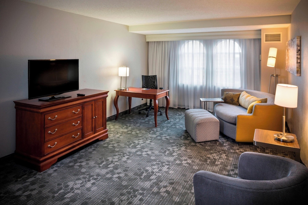 Suite, 1 King Bed with Sofa bed