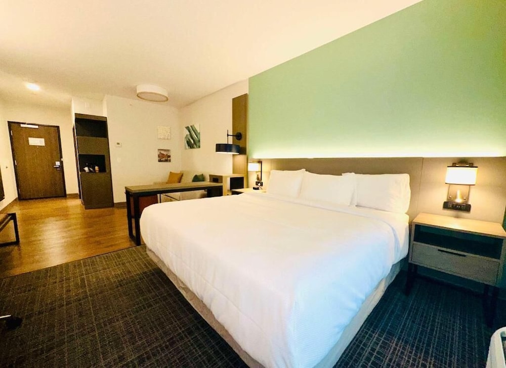 Suite, 1 King Bed with Sofa bed, Non Smoking - Photo 11