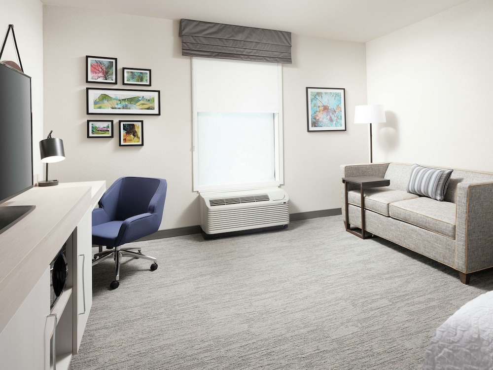 Family Room, 1 King Bed (with Sofa) photo 3