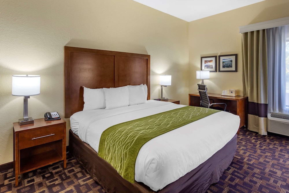 Standard Room, 1 King Bed, Non Smoking - Photo 3
