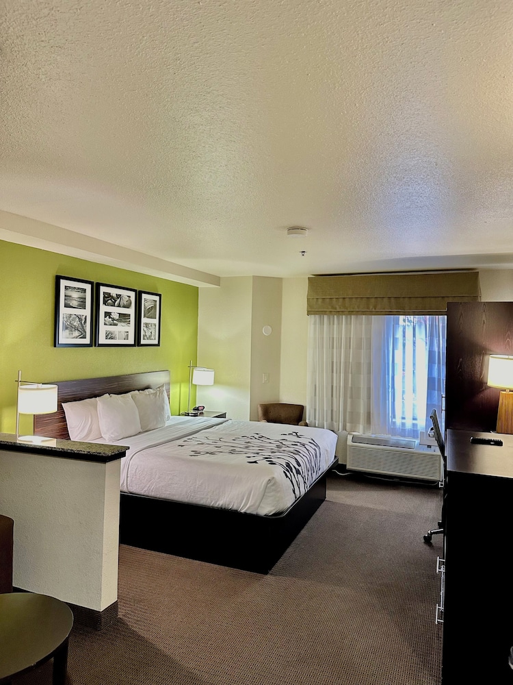 Suite, 1 King Bed with Sofa bed, Non Smoking photo 1