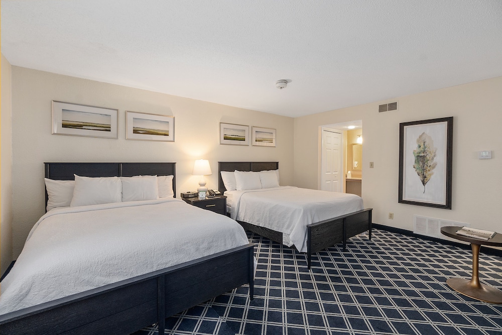 Luxury Studio Suite, Multiple Beds photo 2