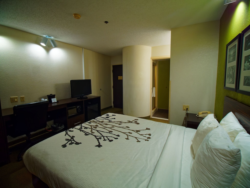 Standard Room, 1 Queen Bed, Non Smoking - Photo 3