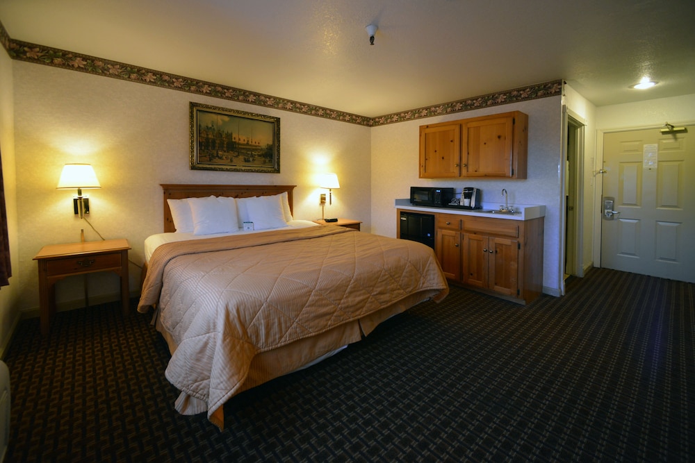 Executive Room, 1 King Bed, Refrigerator & Microwave - Photo 3