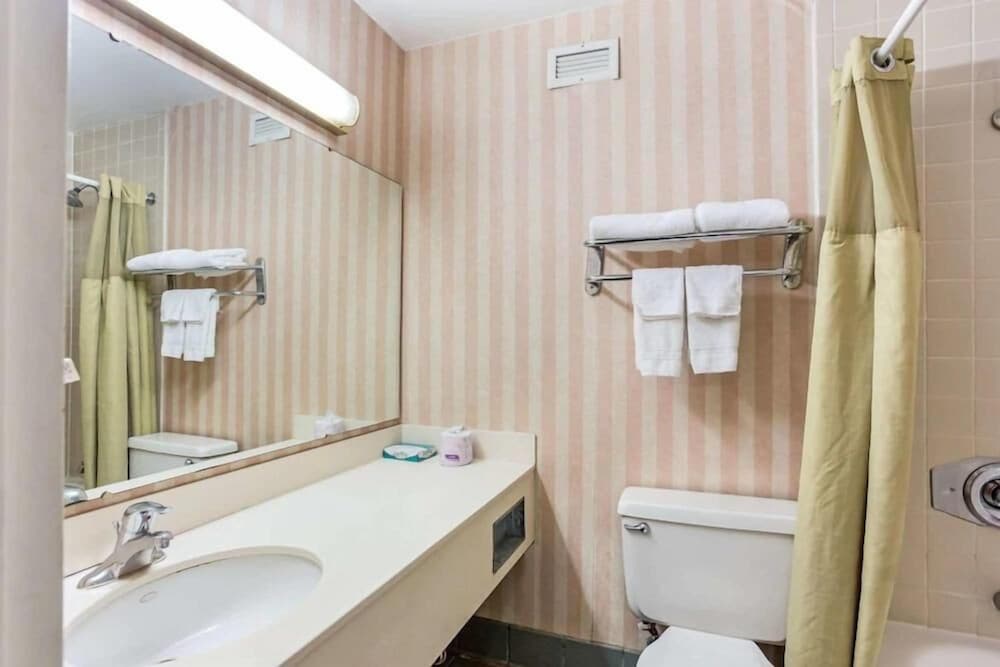 Deluxe Room photo 2