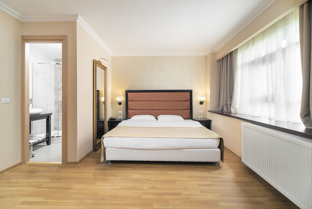 Deluxe Room - Photo 4