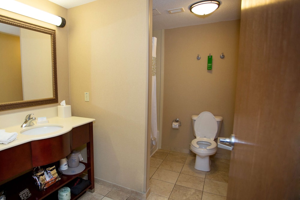 Suite, 1 King Bed, Non Smoking - Photo 5