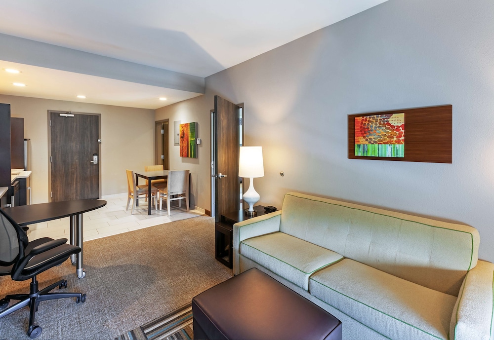 Suite, 1 King Bed, Accessible, Non Smoking (Roll-in Shower)