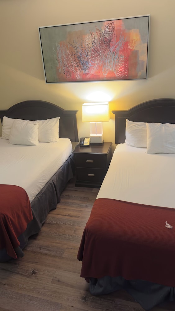 Double Room, 2 Queen Beds, Non Smoking, Pets Allowed photo 2