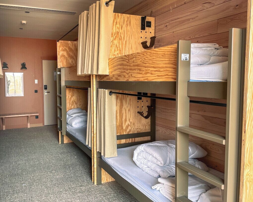 Standard Shared Dormitory photo 1