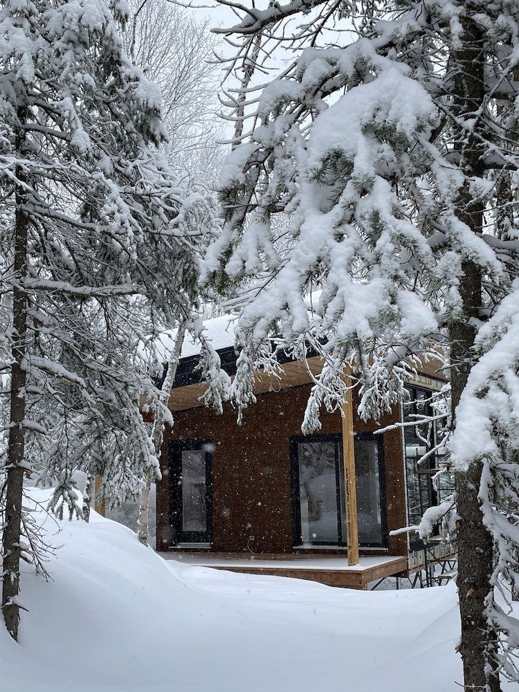 Tanières Microchalets Loup photo 2