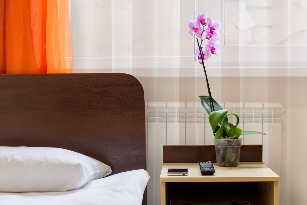 Economy Single Room photo 2
