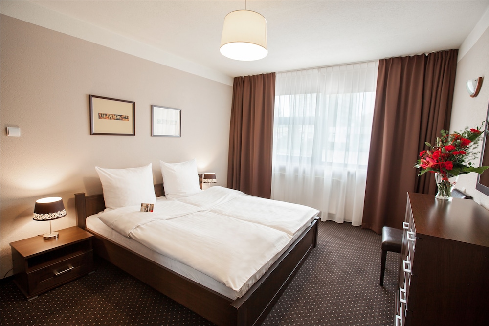 Standard Apartment, 1 King Bed photo 3